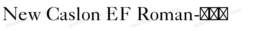 New Caslon EF Roman字体转换